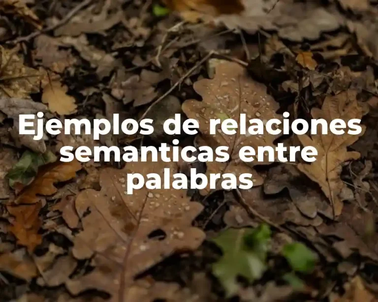 Ejemplos de relaciones semanticas entre palabras
