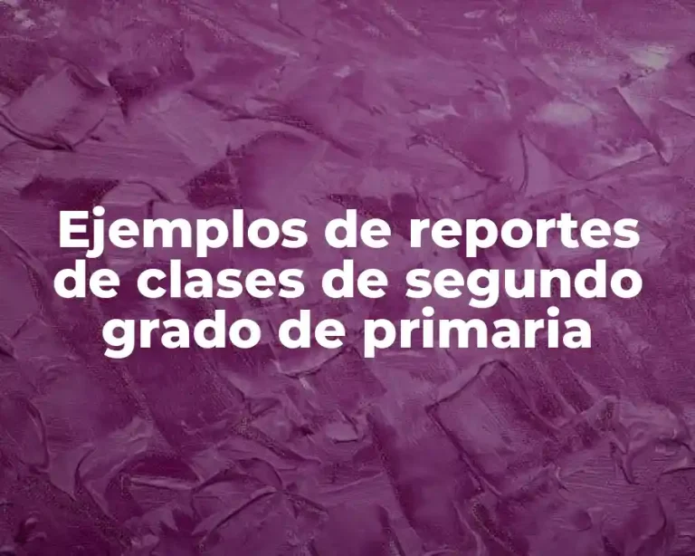 Ejemplos de reportes de clases de segundo grado de primaria