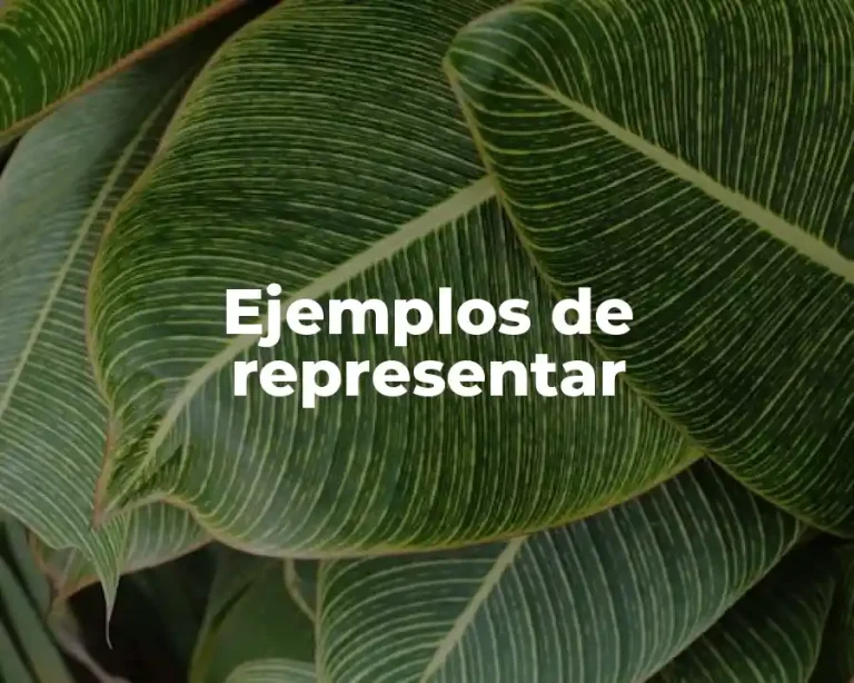 Ejemplos de representar