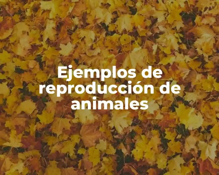 Ejemplos de reproducción de animales