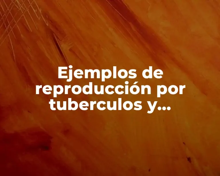 Ejemplos de reproducción por tuberculos y Significado