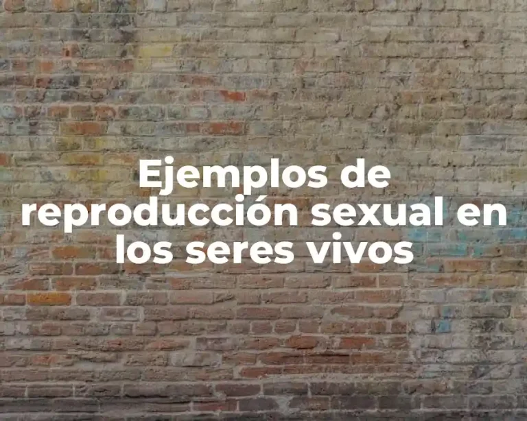 Ejemplos de reproducción sexual en los seres vivos