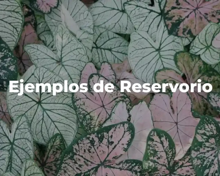 Ejemplos de Reservorio