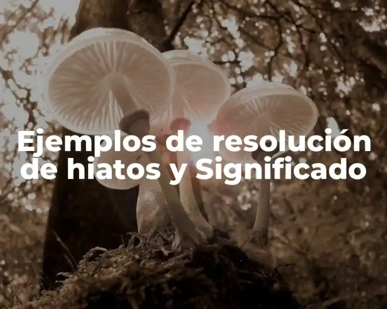 Ejemplos de resolución de hiatos y Significado