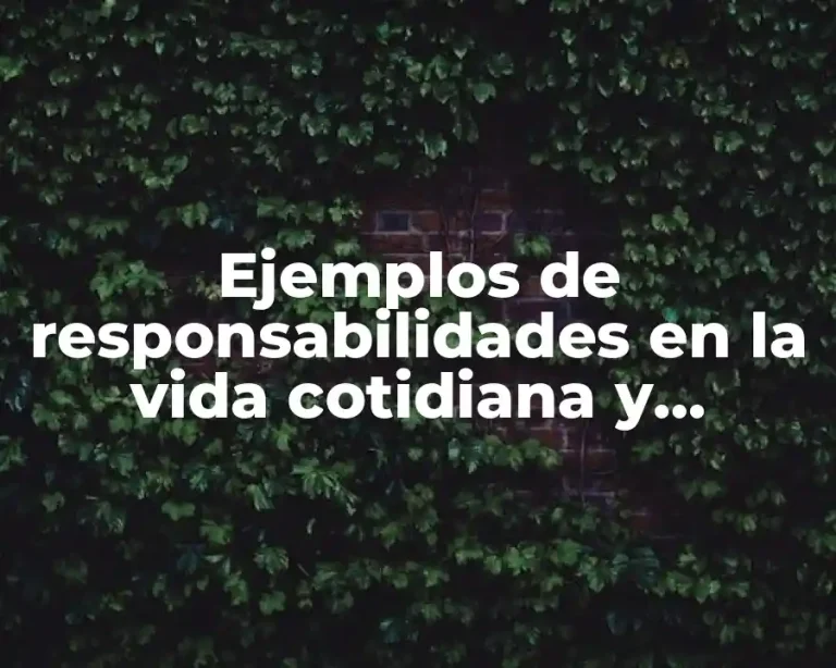 Ejemplos de responsabilidades en la vida cotidiana y Significado
