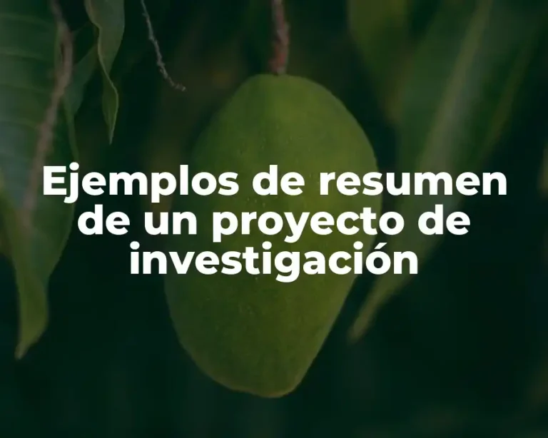 Ejemplos de resumen de un proyecto de investigación
