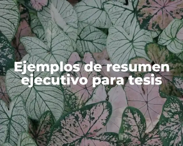 Ejemplos de resumen ejecutivo para tesis