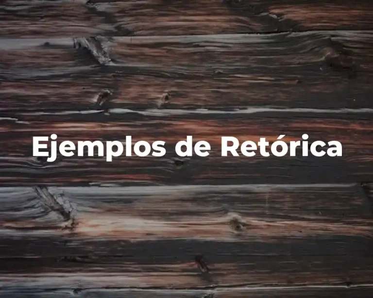 Ejemplos de Retórica