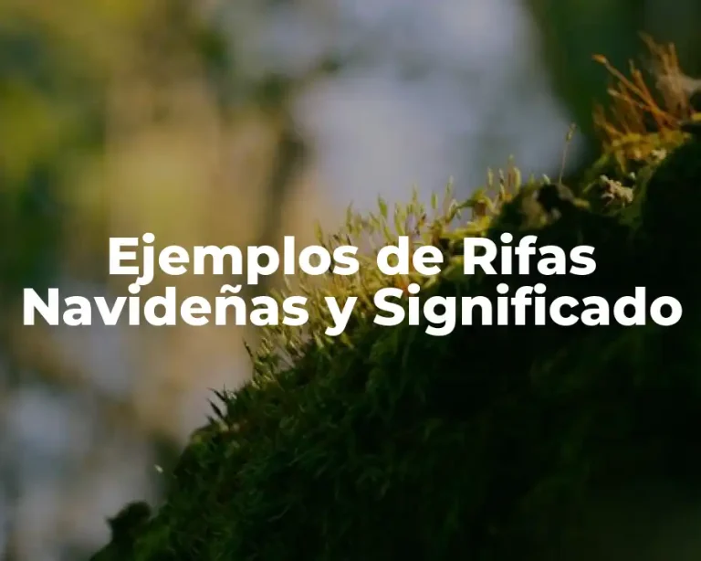 Ejemplos de Rifas Navideñas y Significado