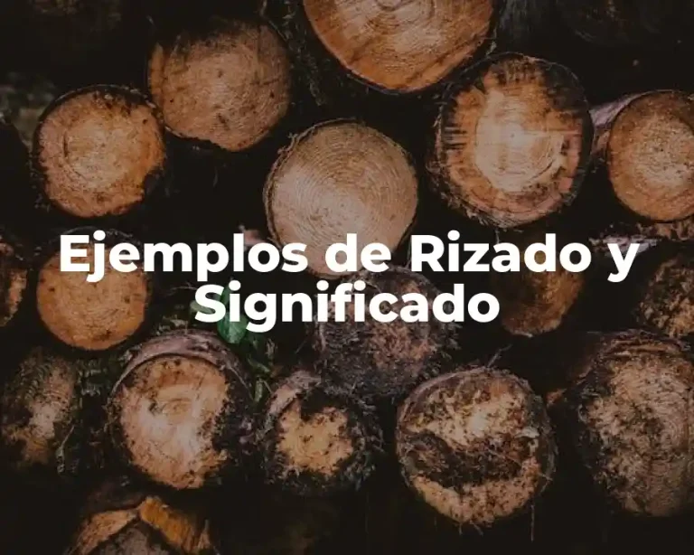 Ejemplos de Rizado y Significado
