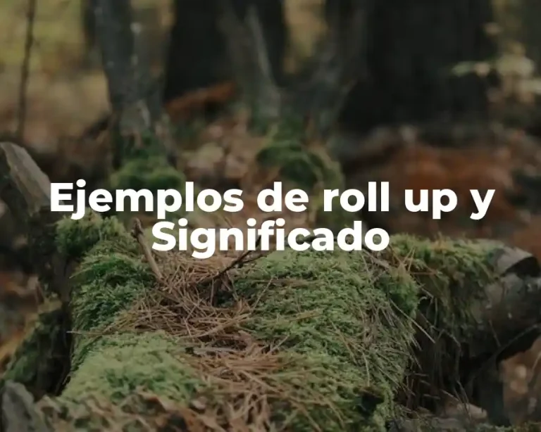 Ejemplos de roll up y Significado