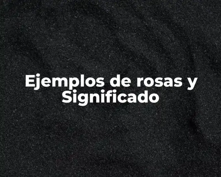 Ejemplos de rosas y Significado