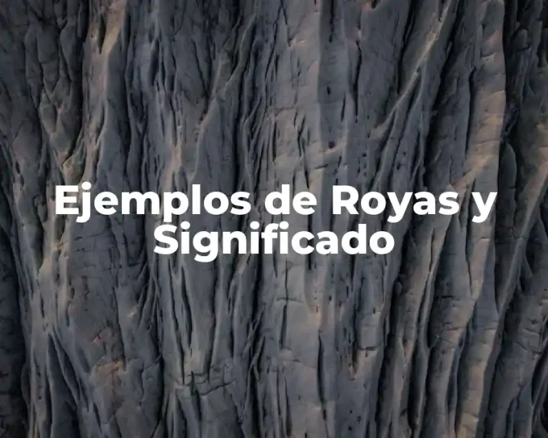 Ejemplos de Royas y Significado