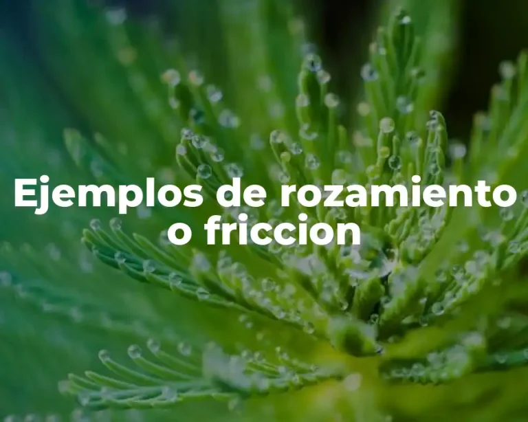 Ejemplos de rozamiento o friccion