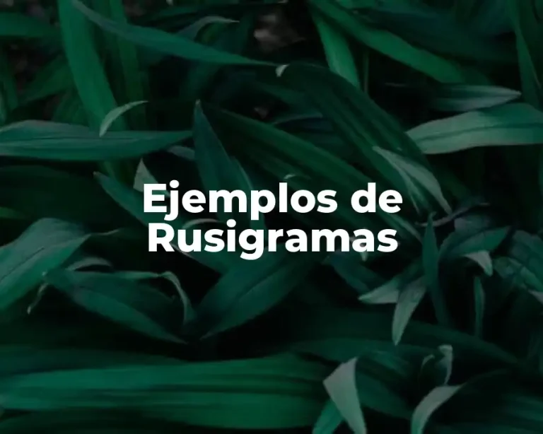 Ejemplos de Rusigramas