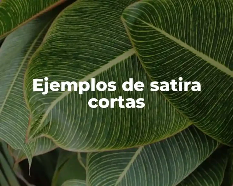 Ejemplos de satira cortas