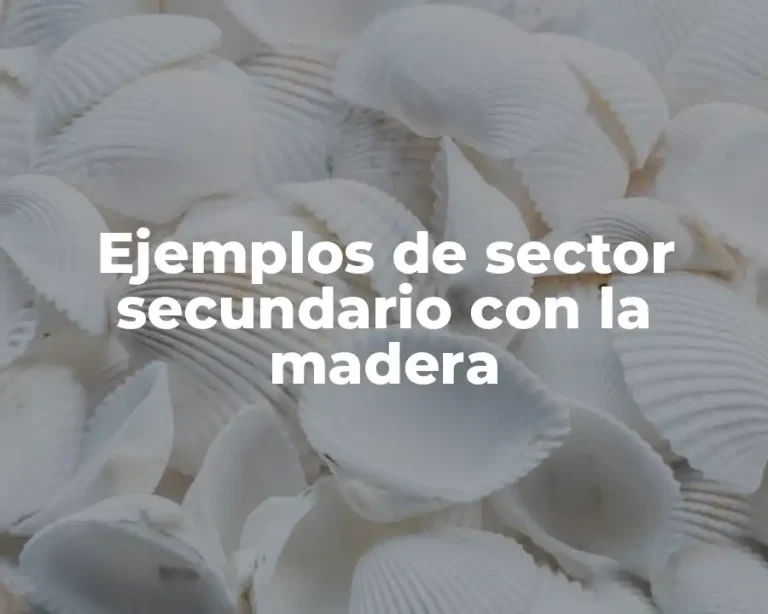 Ejemplos de sector secundario con la madera