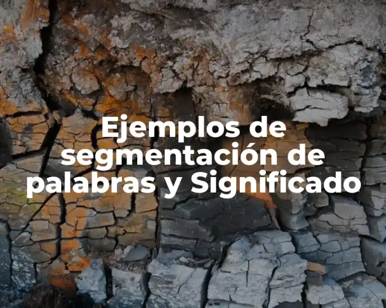 Ejemplos de segmentación de palabras y Significado