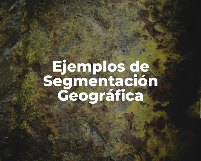 Ejemplos de Segmentación Geográfica
