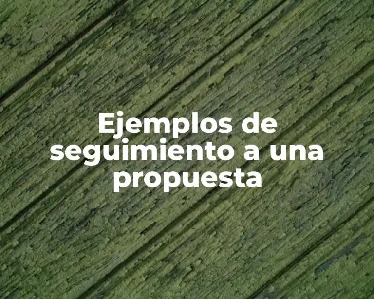 Ejemplos de seguimiento a una propuesta