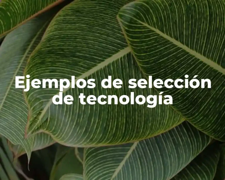 Ejemplos de selección de tecnología