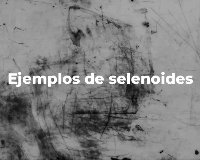 Ejemplos de selenoides