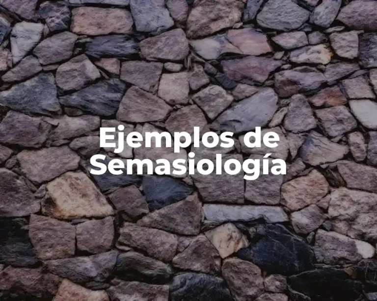 Ejemplos de Semasiología