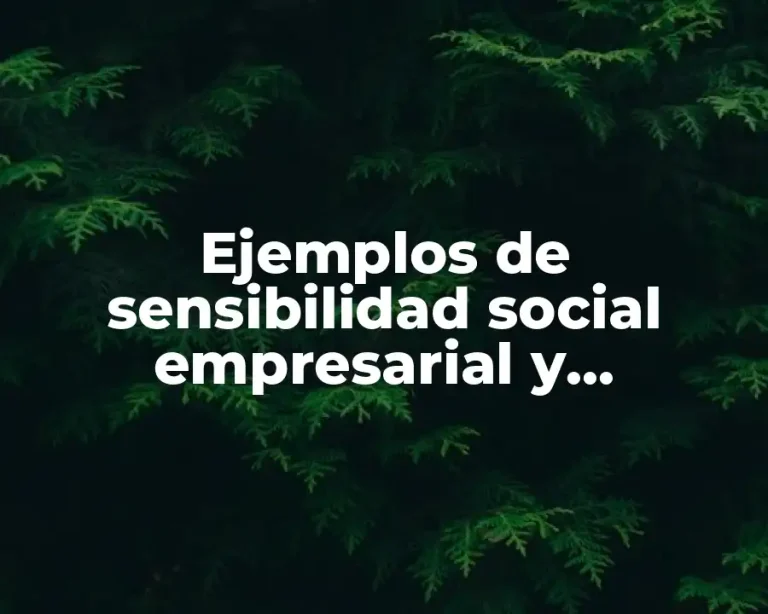 Ejemplos de sensibilidad social empresarial y Significado