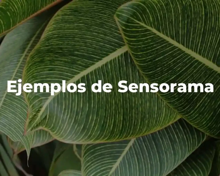 Ejemplos de Sensorama
