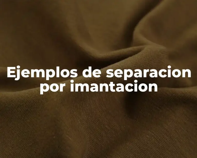 Ejemplos de separacion por imantacion