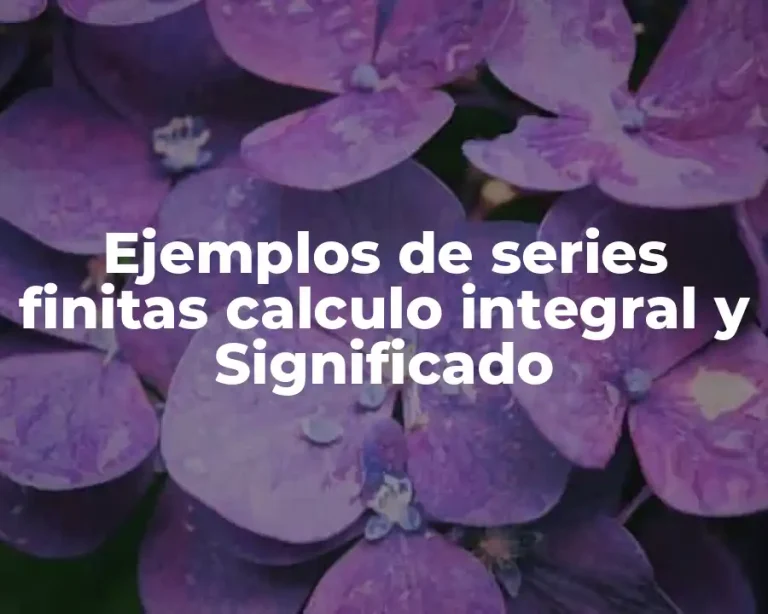 Ejemplos de series finitas calculo integral y Significado