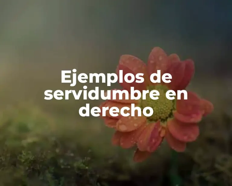 Ejemplos de servidumbre en derecho