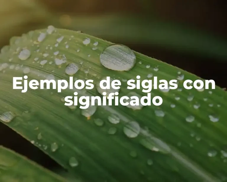 Ejemplos de siglas con significado