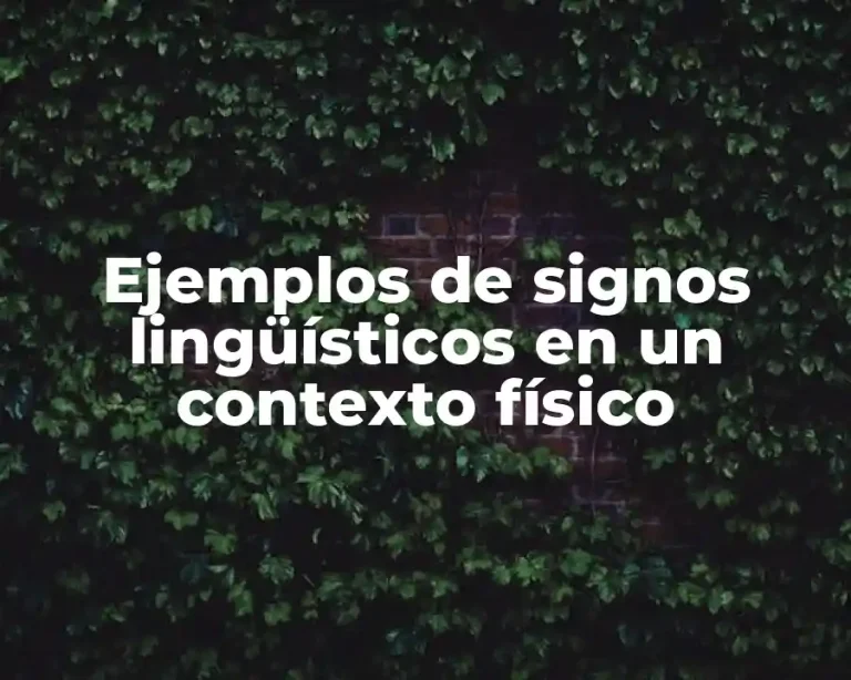 Ejemplos de signos lingüísticos en un contexto físico