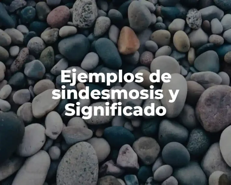 Ejemplos de sindesmosis y Significado