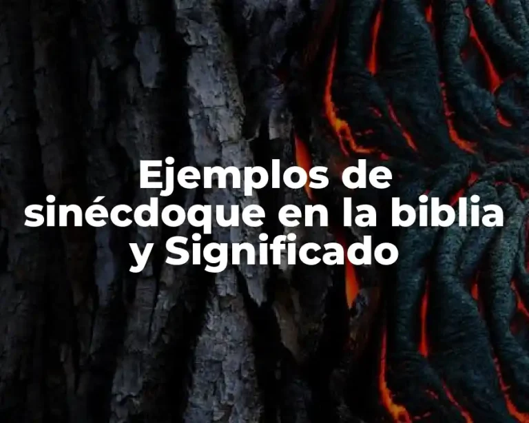 Ejemplos de sinécdoque en la biblia y Significado