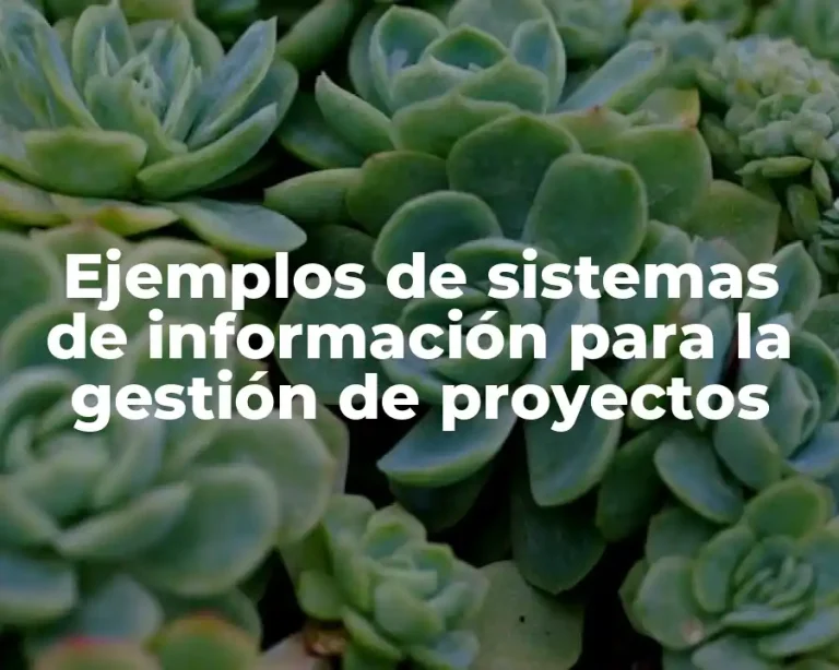 Ejemplos de sistemas de información para la gestión de proyectos