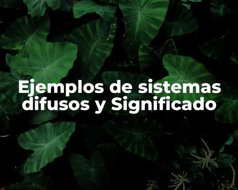 Ejemplos de sistemas difusos y Significado