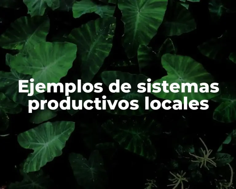Ejemplos de sistemas productivos locales