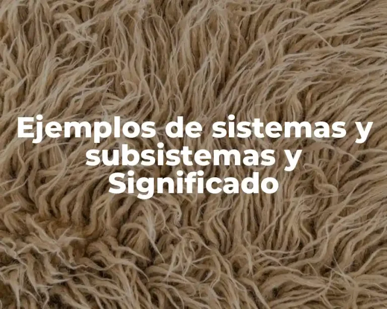 Ejemplos de sistemas y subsistemas y Significado