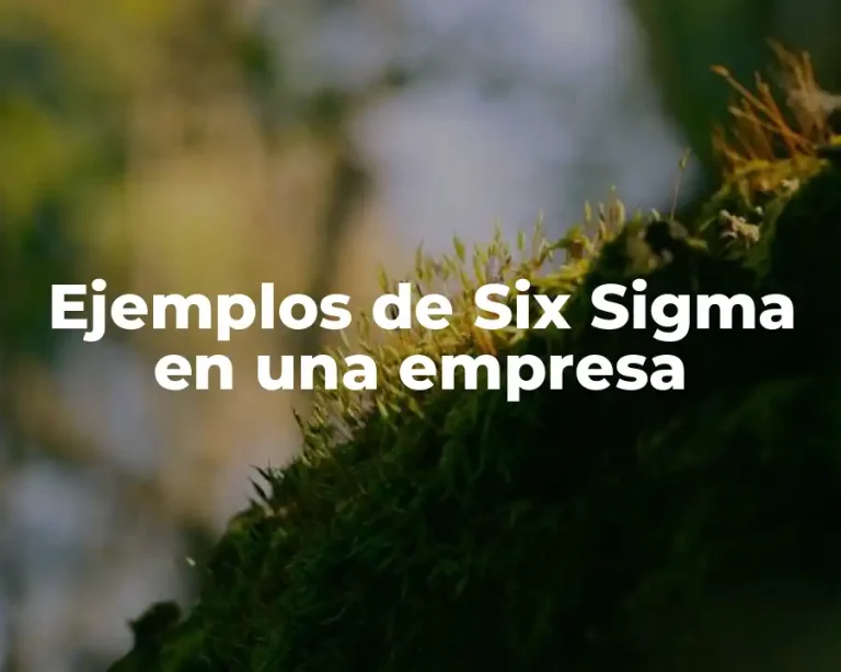 Ejemplos de Six Sigma en una empresa