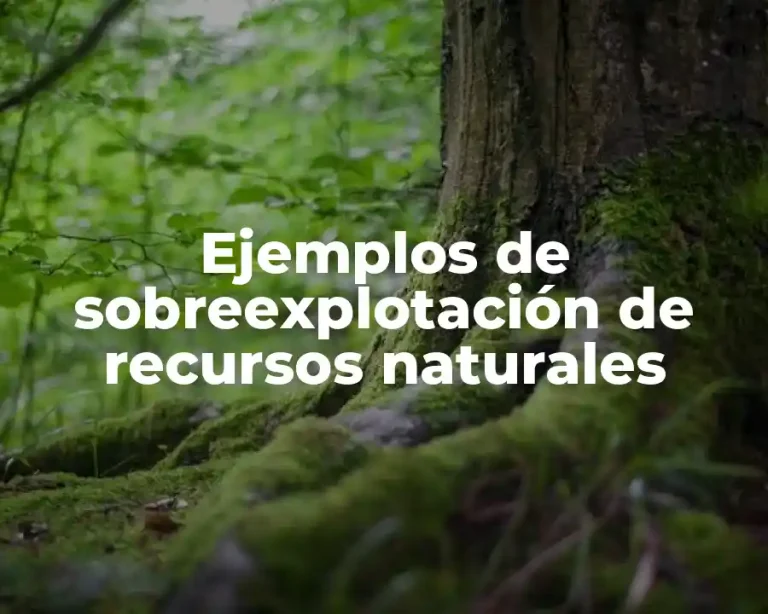 Ejemplos de sobreexplotación de recursos naturales
