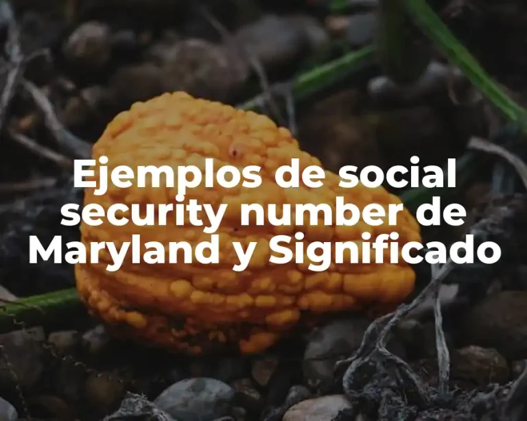 Ejemplos de social security number de Maryland y Significado