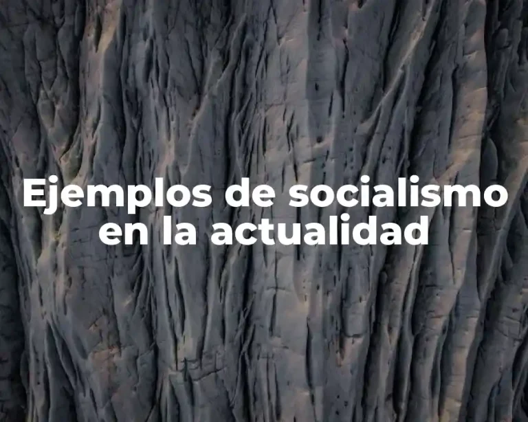 Ejemplos de socialismo en la actualidad