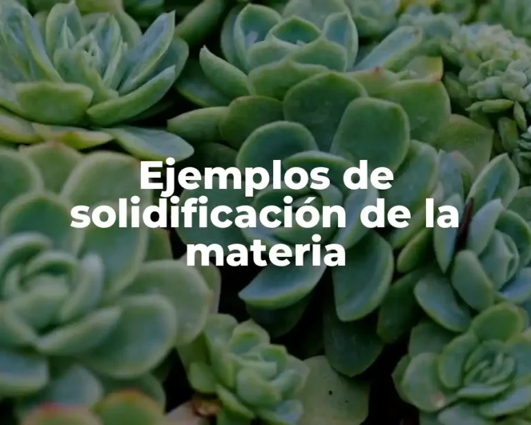 Ejemplos de solidificación de la materia