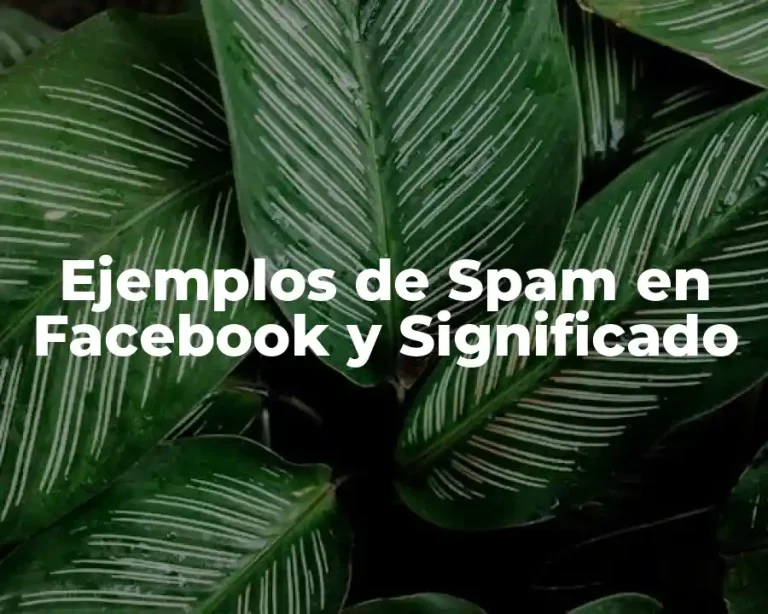Ejemplos de Spam en Facebook y Significado