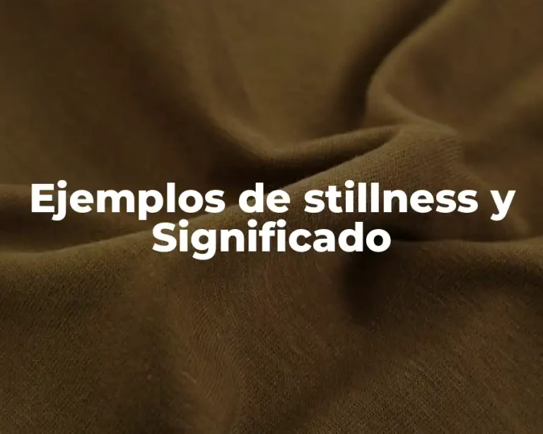Ejemplos de stillness y Significado