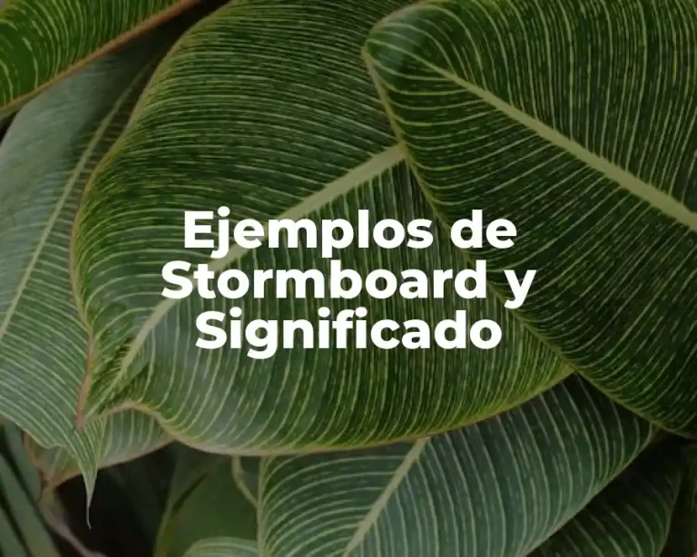 Ejemplos de Stormboard y Significado