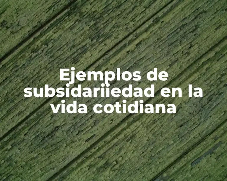 Ejemplos de subsidariiedad en la vida cotidiana