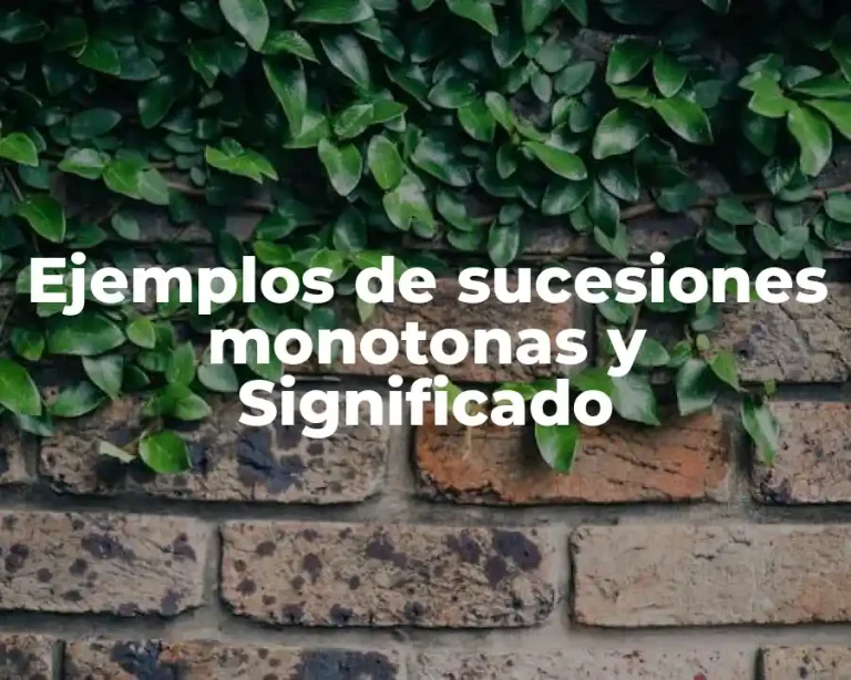 Ejemplos de sucesiones monotonas y Significado
